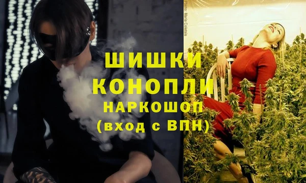 бутират Переславль-Залесский
