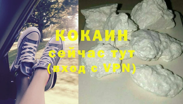 jwh Пересвет