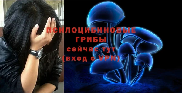 jwh Пересвет