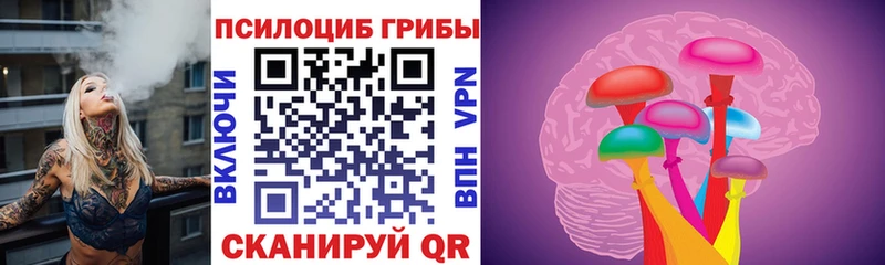 Галлюциногенные грибы MAGIC MUSHROOMS  Купить закладки  Себеж 